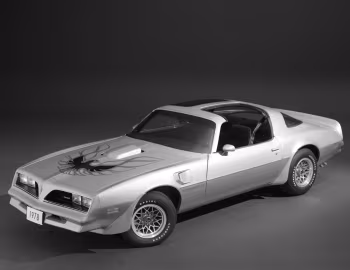 1978 Pontiac Firebird Trans Am Gold Special Edition (2F W87)