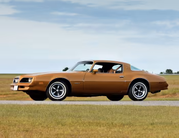 1977 Pontiac Firebird Esprit (2F T87)
