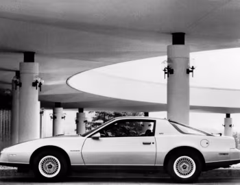1983 Pontiac Firebird S/E (2F X87)