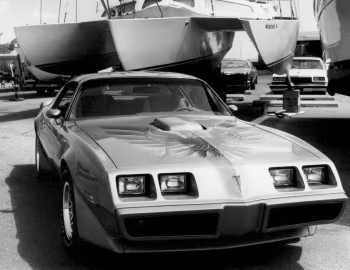 1979 Pontiac Firebird Trans Am T-Top (2F W87)