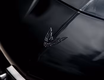 Logotipo 1993–97 Pontiac Firebird Trans Am