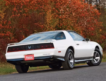 1982–84 Pontiac Firebird Trans Am T-Roof (2F W87)