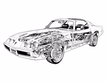 1980 Pontiac Firebird Trans Am (2F W87)