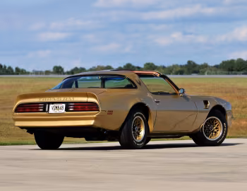 1978 Pontiac Firebird Trans Am Gold Special Edition (2F W87)