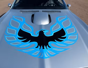 1976 Pontiac Firebird Trans Am L75 455 (F-W87) '09.1975–76