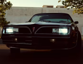 1977 Pontiac Firebird Trans Am Special Edition T/A 6.6 W72 T-Top (2F W87)