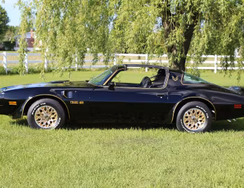 1977 Pontiac Firebird Trans Am Special Edition T/A 6.6 W72 T-Top (2F W87)