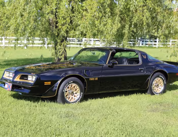 1977 Pontiac Firebird Trans Am Special Edition T/A 6.6 W72 T-Top (2F W87)