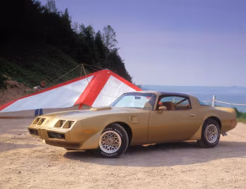1979 Pontiac Firebird Trans Am T-Top (2F W87)