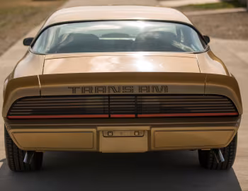 1979 Pontiac Firebird Trans Am T/A 6.6 L78 (2F W87)