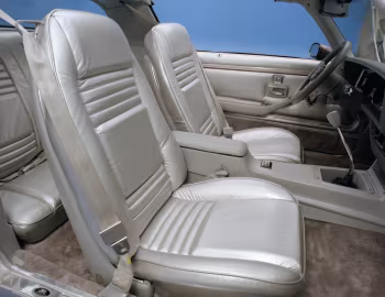 Interior 1979 Pontiac Firebird Trans Am T/A 6.6 L78 "10th Anniversary" (2F W87)