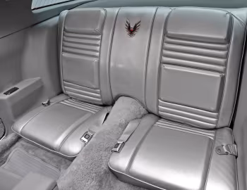 Interior 1979 Pontiac Firebird Trans Am T/A 6.6 L78 "10th Anniversary" (2F W87)