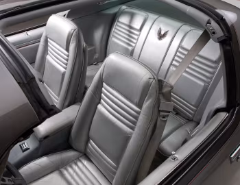 Intérieur 1979 Pontiac Firebird Trans Am T/A 6.6 L78 "10th Anniversary" (2F W87)
