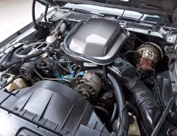 Sous la capuche 1979 Pontiac Firebird Trans Am T/A 6.6 L78 "10th Anniversary" (2F W87)