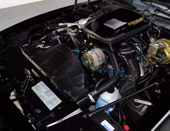 Bajo el capó 1979 Pontiac Firebird Trans Am T/A 6.6 L78 Special Edition (2F W87)