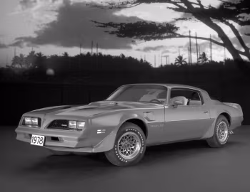 1978 Pontiac Firebird Trans Am T/A 6.6 W72 (2F W87) '1977–78
