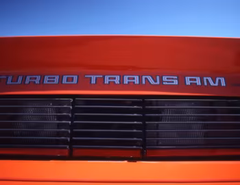 1980 Pontiac Firebird Trans Am Turbo (2F W87)