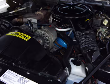 Bajo el capó 1980 Pontiac Firebird Trans Am Turbo (2F W87)