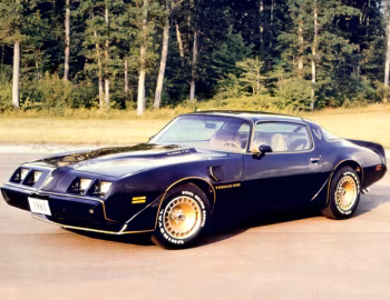 1980 Pontiac Firebird Trans Am Turbo Black & Gold Special Edition (2F W87)