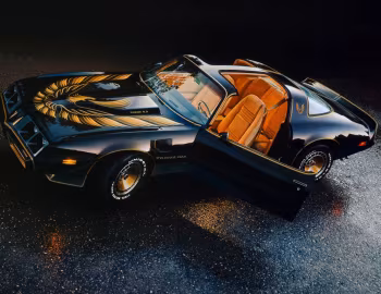 1980 Pontiac Firebird Trans Am Turbo Black & Gold Special Edition (2F W87)