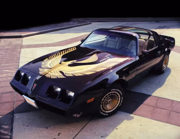 1981 Pontiac Firebird Trans Am Turbo Black & Gold Special Edition (2F W87)