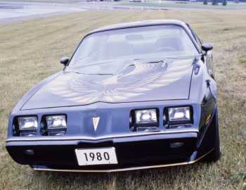 1980 Pontiac Firebird Trans Am Turbo Black & Gold Special Edition (2F W87)