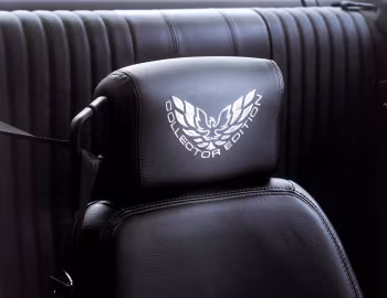 2002 Pontiac Firebird Trans Am WS6 Ram Air Collector Edition