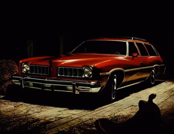1974 Pontiac LeMans Safari (D354/D454) '1973–74