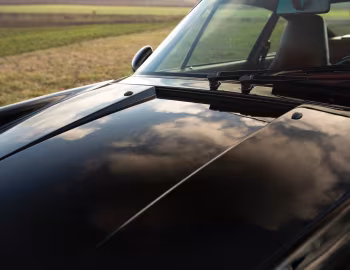 Porsche 911 Turbo 3.6 Coupe Prototype (#310004) '1994