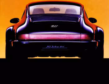 Porsche 911 Carrera 4 Coupe Turbolook "30 Jahre 911" [Worldwide] (964) '1993–94