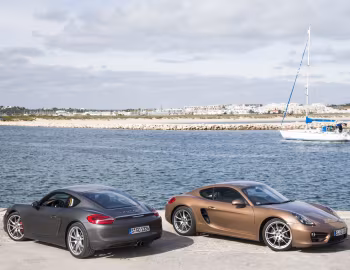 Porsche Cayman (981C) '2013–18