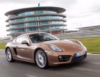 Porsche Cayman [Worldwide] (981C) '2013–16