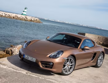 Porsche Cayman [Worldwide] (981C) '2013–16