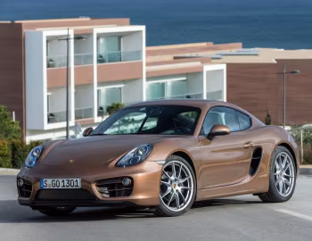 Porsche Cayman [Worldwide] (981C) '2013–16