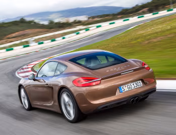 Porsche Cayman [Worldwide] (981C) '2013–16