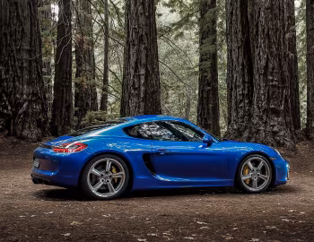Porsche Cayman GTS [Worldwide] (981C) '2014–17