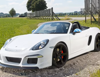 Ruf 3800 S (981) '2013–17