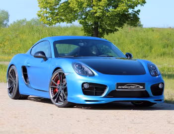 SpeedART SP81-CR (981C) '2013–16