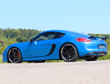SpeedART SP81-CR (981C) '2013–16