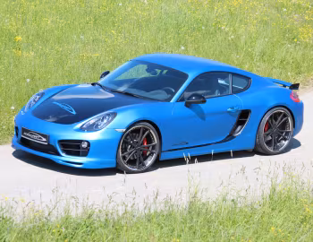 SpeedART SP81-CR (981C) '2013–16