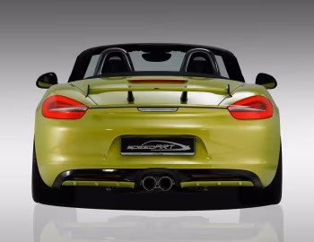 SpeedART SP81-R (981) '2012–16