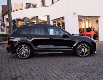 TechArt Magnum (958) '2015–18