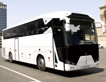 Tezauto Lion '2013–pr.