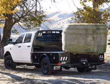 2025–pr. Ram 3500 Tradesman Crew Cab chassis cab (D2) '2025–pr.