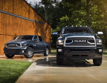 Ram