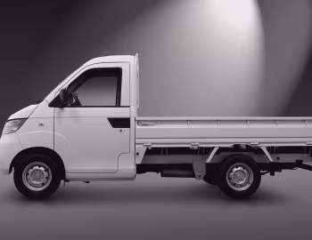 Rely Pick-Up '2013–pr.