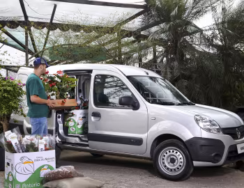 Renault Kangoo Express [Latam] '2014–18