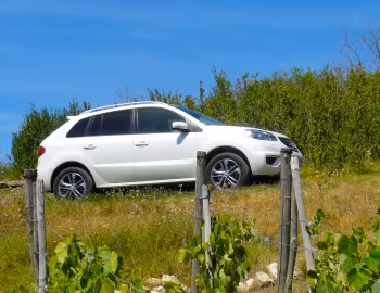 Renault Koleos [Worldwide] '2011–13
