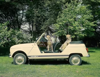 Renault 4 Plein Air by Sinpar '05.1968–04.1970