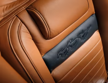 Интерьер 1965 Ringbrothers Ford Mustang Convertible Uncaged '10.2023